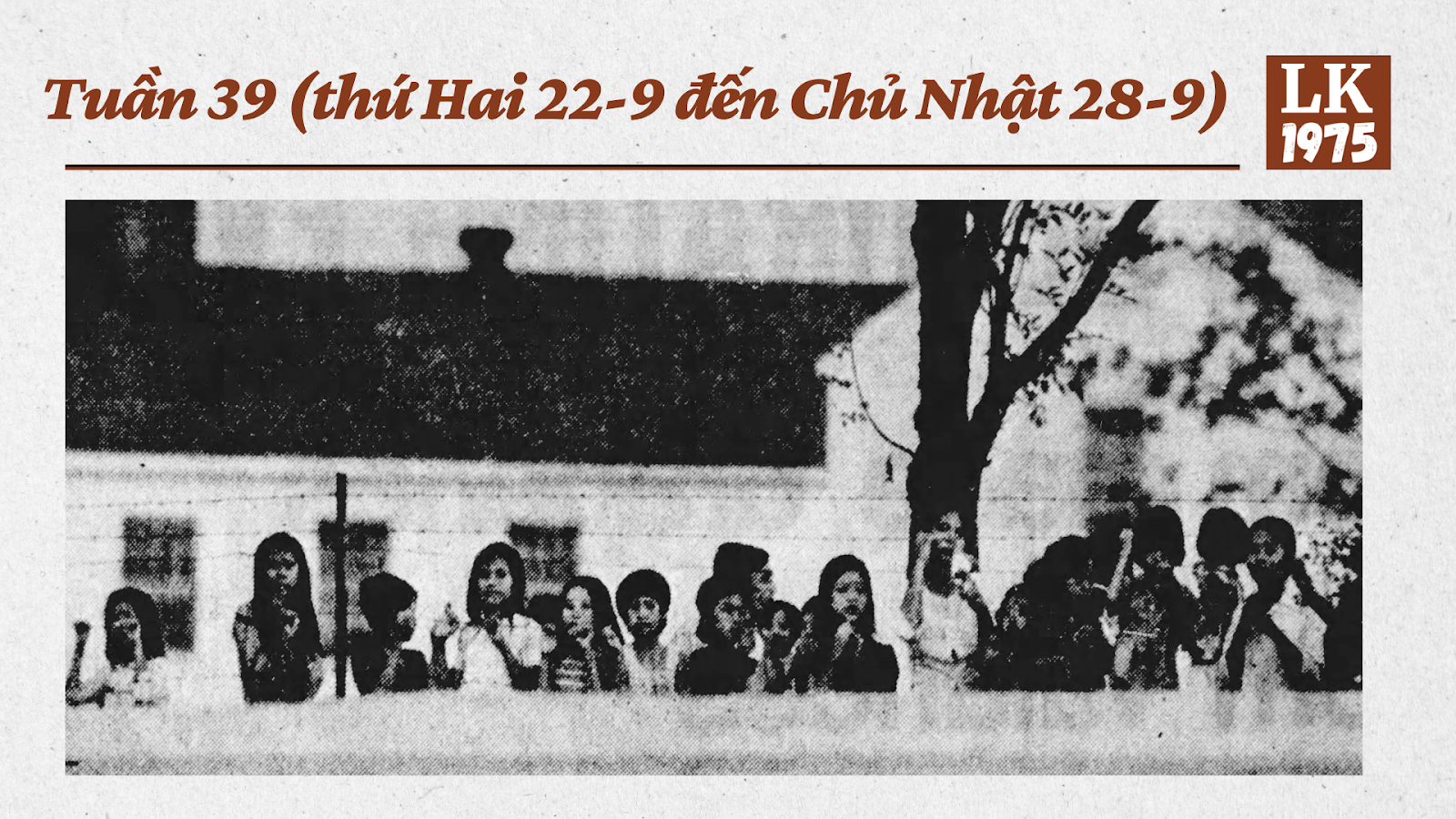 Người Việt tị nạn chán chường xếp hàng dọc hàng rào để xem xe cộ qua lại ở Fort Chaffee. Nguồn: AP.